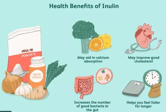 The functions of Inulin powder
