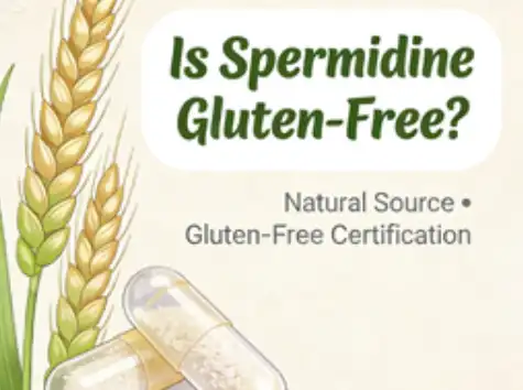 Is Spermidine Gluten-Free Is Spermidine Gluten-Free